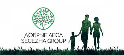 Стали известны победители грантового конкурса «Добрые леса Segezha Group» стали - stolicaonego.ru - республика Карелия - Экология