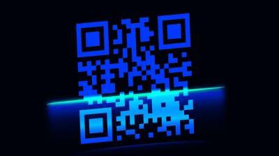Воронежские власти задумались о введении системы QR-кодов в пандемию - vestivrn.ru - Воронеж