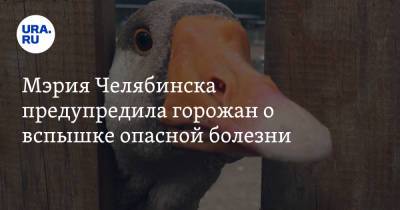 Мэрия Челябинска предупредила горожан о вспышке опасной болезни - ura.news - Челябинск