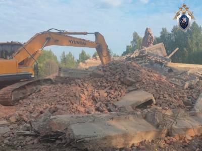 Уголовное дело возбуждено из-за гибели мужчины при сносе завода в Воротынском районе - vgoroden.ru - Россия - Нижегородская обл. - Следственный Комитет