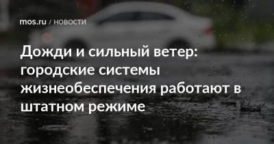 Дожди и сильный ветер: городские системы жизнеобеспечения работают в штатном режиме - mos.ru - Москва