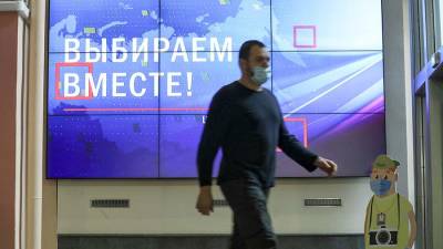 Александр Малькевич - В ОП назвали число выявленных фейков о выборах за два дня голосования - iz.ru - Россия - Израиль