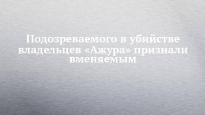 Подозреваемого в убийстве владельцев «Ажура» признали вменяемым - chelny-izvest.ru - Россия - Набережные Челны - Казань