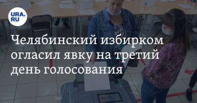Челябинский избирком огласил явку на третий день голосования - ura.news - Челябинская обл.