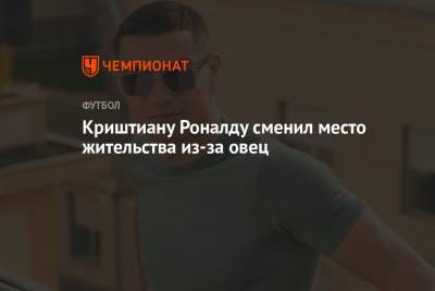 Криштиану Роналду - Ульяна-Гуннар Сульшера - Криштиану Роналду сменил место жительства из-за овец - championat.com