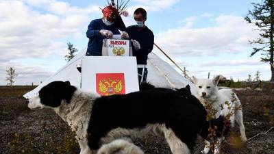 В ШОС оценили преимущества трехдневного голосования на выборах в Госдуму - iz.ru - Россия - Израиль