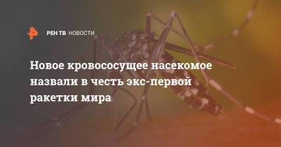 Симона Халеп - Новое кровососущее насекомое назвали в честь экс-первой ракетки мира - ren.tv - Румыния