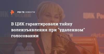 Элла Памфилова - В ЦИК гарантировали тайну волеизъявления при голосовании дистанционно - ren.tv