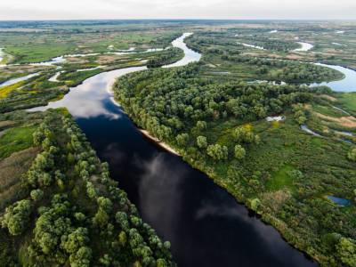 Неэффективная природоохранная политика в Украине приводит к исчезновению некоторых видов животных – WWF - gordonua.com - Украина - Экология