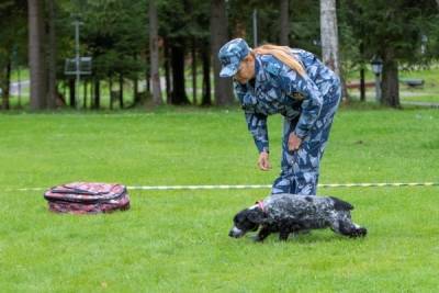 Псковский кинолог и ее собака Джесси стали призерами Всероссийских межведомственных соревнований - mk-pskov.ru - Россия - Московская обл. - Псковская обл. - Псков