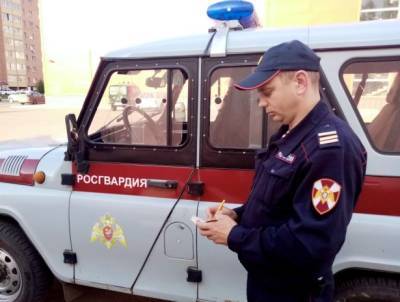 Росгвардия обеспечит безопасность выборов в Госдуму - vpk-news.ru