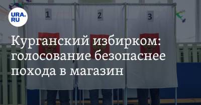 Курганский избирком: голосование безопаснее похода в магазин - ura.news - Курганская обл.