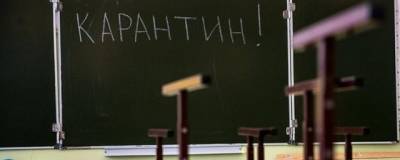 Любовь Авдонина - В РТ около 5000 школьников ушли на карантин по ОРВИ - runews24.ru