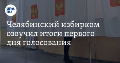 Челябинский избирком озвучил итоги первого дня голосования - ura.news - Челябинская обл.