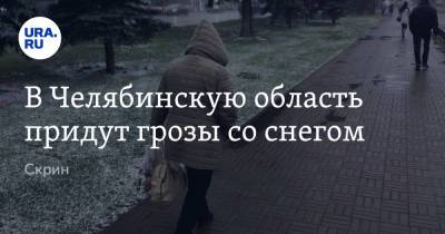 Алексей Текслер - В Челябинскую область придут грозы со снегом. Скрин - ura.news - Челябинская обл.