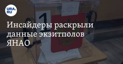 Инсайдеры раскрыли данные экзитполов ЯНАО - ura.news - Россия - окр. Янао