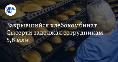Закрывшийся хлебокомбинат Сысерти задолжал сотрудникам 5,8 млн - ura.news - Свердловская обл.