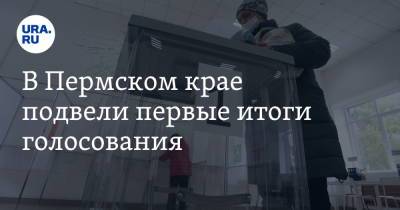 В Пермском крае подвели первые итоги голосования - ura.news - Пермь - Пермский край