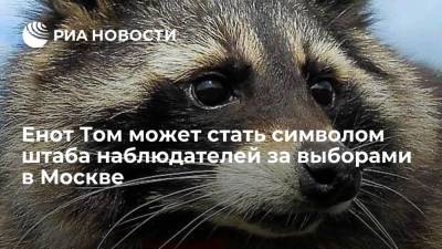 Алексей Венедиктов - Штаб по наблюдению за выборами в Москве объявит конкурс на имя для своего символа - енота - ria.ru - Москва