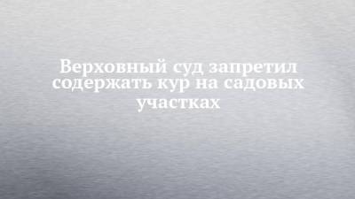 Верховный суд запретил содержать кур на садовых участках - chelny-izvest.ru - Волгоград