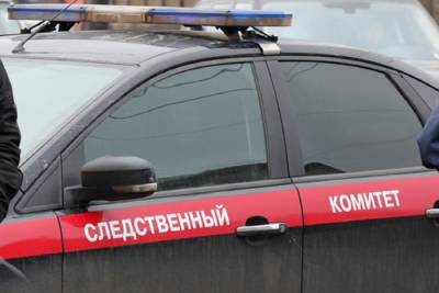 Дмитрий Чебанов - СК попросил арестовать пятерых обвиняемых в призывах к беспорядкам - mk.ru - Москва - Россия