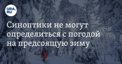 Алексей Кокорин - Михаил Леус - Синоптики не могут определиться с погодой на предстоящую зиму - ura.news - Россия