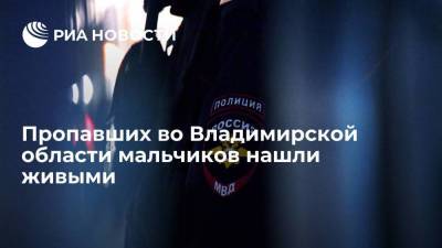 Пропавших во Владимирской области мальчиков нашли в электричке в Орехово-Зуево - smartmoney.one - Россия - Владимирская обл. - Рязань - район Петушинский