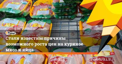 Стали известны причины возможного роста цен накуриное мясо ияйца - ridus.ru - Россия - ЦФО