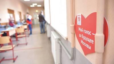 Эксперт рассказал о сложностях используемой в электронном голосовании криптографии - vm.ru