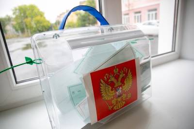 Ирина Фатьянова - Избирком Петербурга проверит, действительно ли одном из УИКов штамповали бюллетени - znak.com - Россия - Санкт-Петербург
