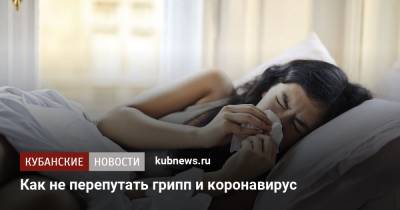 Владислав Жемчугов - Как не перепутать грипп и коронавирус - kubnews.ru - Сочи