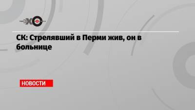 Ирина Волк - СК: Стрелявший в Перми жив, он в больнице - echo.msk.ru - Россия - Пермь