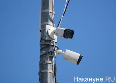 Жители Лесобазы ведут сбор подписей за установку камер после убийства восьмилетней девочки - nakanune.ru - Тюмень