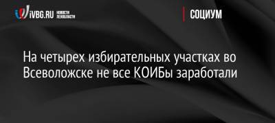 На четырех избирательных участках во Всеволожске не все КОИБы заработали - ivbg.ru - Украина - Ленинградская обл. - Всеволожск