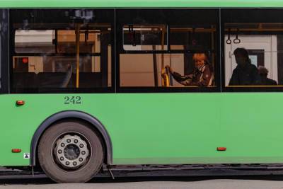 Как добиться подачи низкопольного автобуса, рассказали маломобильным жителям Пскова - mk-pskov.ru - Псковская обл. - Пскова