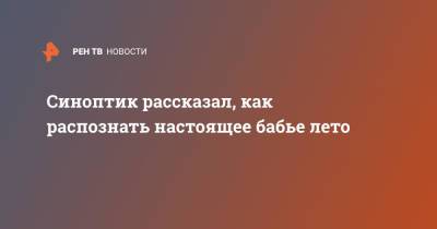 Евгений Тишковец - Синоптик рассказал, как распознать настоящее бабье лето - ren.tv - Москва - Россия