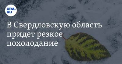 В Свердловскую область придет резкое похолодание - ura.news - Челябинская обл. - Свердловская обл. - Курганская обл. - Уральск - Пермский край