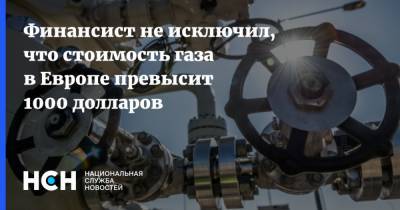 Игорь Юшков - Финансист не исключил, что стоимость газа в Европе превысит 1000 долларов - nsn.fm - Россия