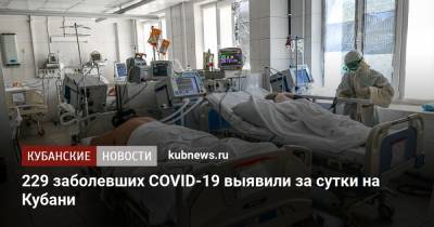 229 заболевших COVID-19 выявили за сутки на Кубани - kubnews.ru - Сочи - Краснодарский край - Краснодар - Новороссийск - Кореновск - Павловск