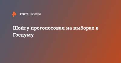 Сергей Шойгу - Шойгу проголосовал на выборах в Госдуму - ren.tv - Россия