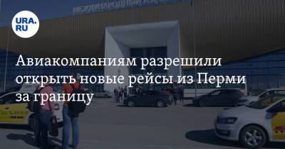Авиакомпаниям разрешили открыть новые рейсы из Перми за границу - ura.news - Россия - Китай - Израиль - Египет - Пермь - Сербия - Кипр - Белград - Иордания