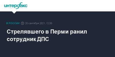 Ирина Волк - Стрелявшего в Перми ранил сотрудник ДПС - interfax.ru - Москва - Пермь