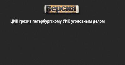 Элла Памфилова - ЦИК грозит петербургскому УИК уголовным делом - neva.versia.ru - Санкт-Петербург