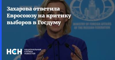 Мария Захарова - Питер Стано - Захарова ответила Евросоюзу на критику выборов в Госдуму - nsn.fm - Россия - Германия