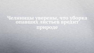 Челнинцы уверены, что уборка опавших листьев вредит природе - chelny-izvest.ru - Набережные Челны