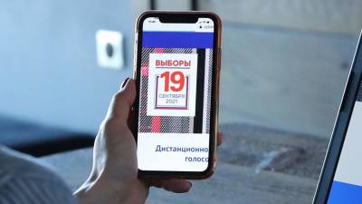 Эксперт из Италии положительно оценил идею онлайн-голосования на выборах в ГД - iz.ru - Италия - Израиль