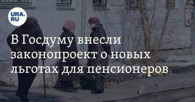 В Госдуму внесли законопроект о новых льготах для пенсионеров - ura.news - Россия