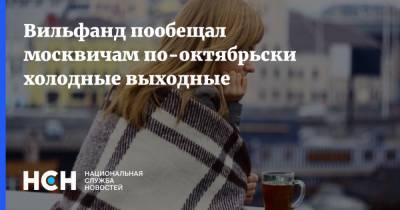 Роман Вильфанд - Вильфанд пообещал москвичам по-октябрьски холодные выходные - nsn.fm - Москва - Россия - Московская обл.
