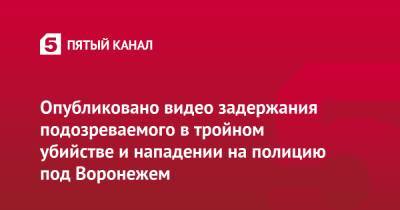 Опубликовано видео задержания подозреваемого в тройном убийстве и нападении на полицию под Воронежем - 5-tv.ru - Россия - Воронеж - Воронежская обл.