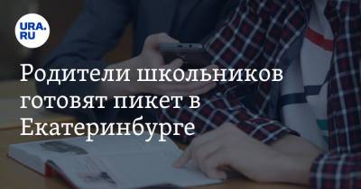 Родители школьников готовят пикет в Екатеринбурге. «Дети учатся тыкать пальцами» - ura.news - Екатеринбург